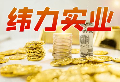 緯力實業(yè)投資分析 優(yōu)勢與多元化投資方式解析